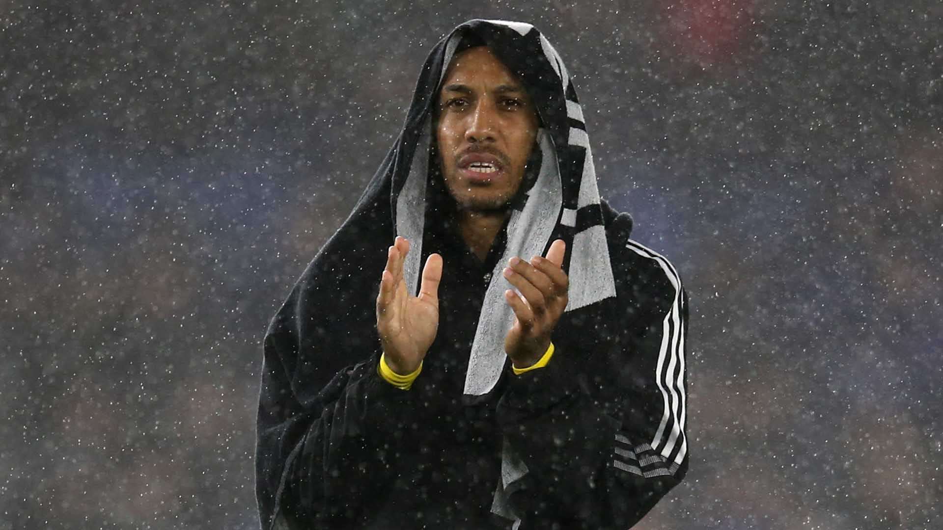 态愈加火热 态愈加火热