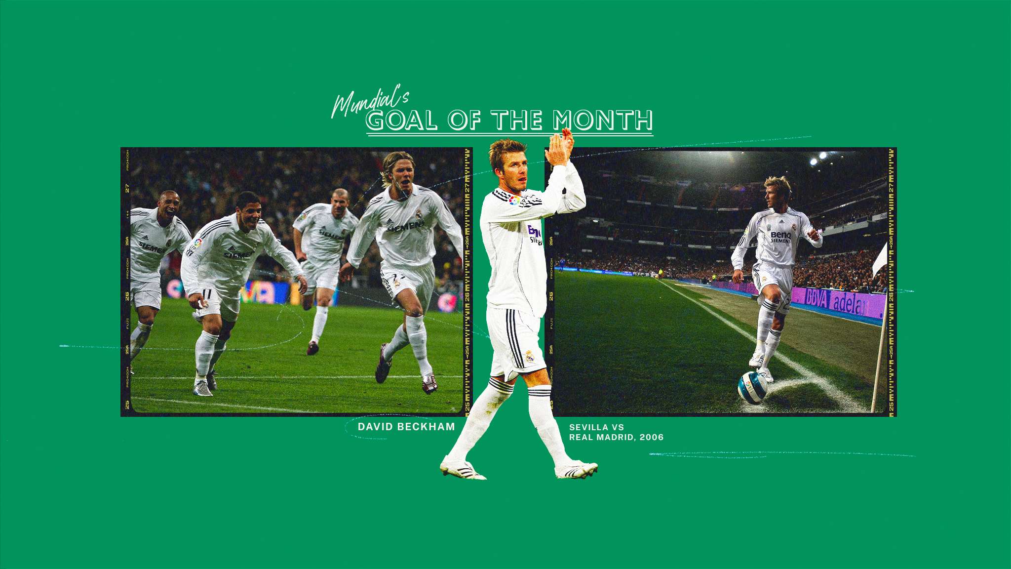 我们可以发 我们可以发