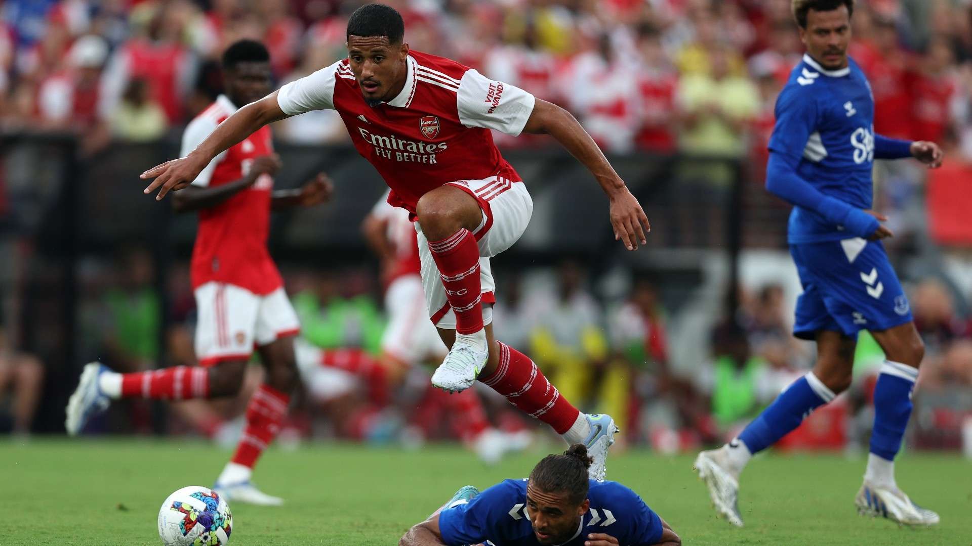 篮迎来了期 篮迎来了期